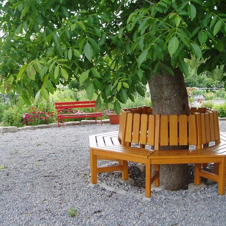 Hotel Weinhof Am Nussbaum Willanzheim Zewnętrze zdjęcie
