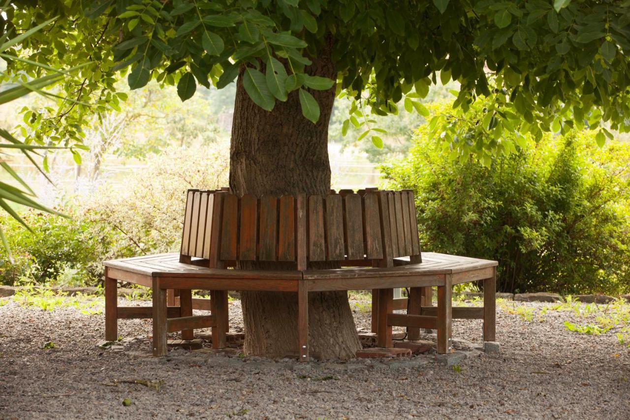 Hotel Weinhof Am Nussbaum Willanzheim Zewnętrze zdjęcie