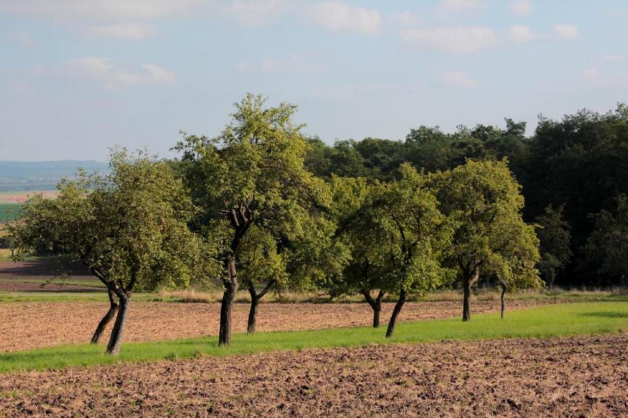 Hotel Weinhof Am Nussbaum Willanzheim Zewnętrze zdjęcie